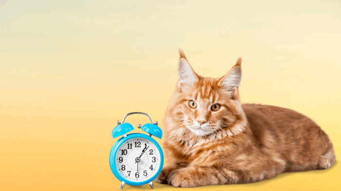 Time